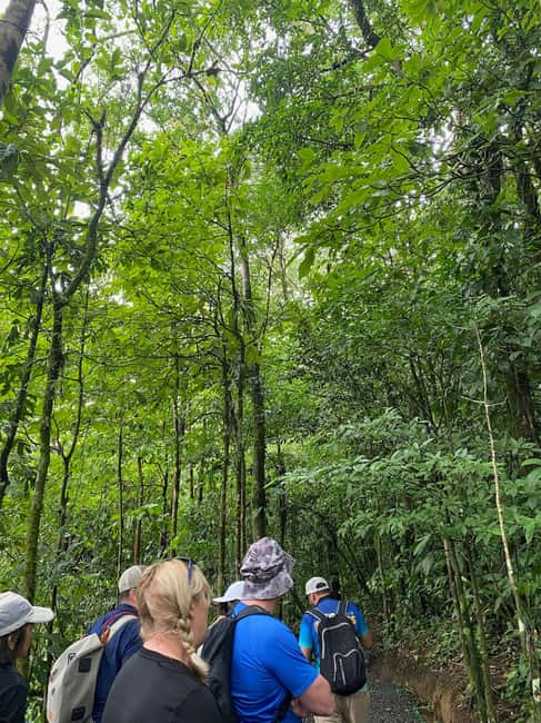 Immagine nº 16 di Guanacaste: gita di un giorno alla foresta pluviale, ai bradipi e alla natura con pranzo attività a Alajuela, caricata dal fornitore