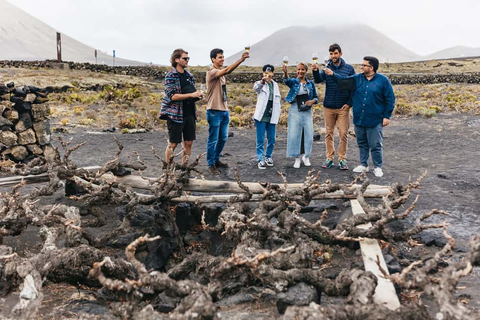 image n.12 of Wine Lovers: Wine Tasting Tour at El Grifo Bodega Lanzarote activity in San Bartolomé, uploaded by supplier