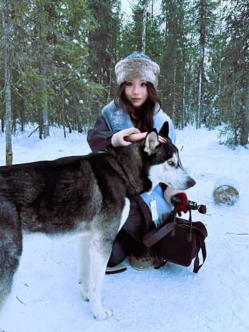 billede nr.24 af aktiviteten Levi: 5 km hundeslædetur i Levi i Sirkka, uploadet af udbyder