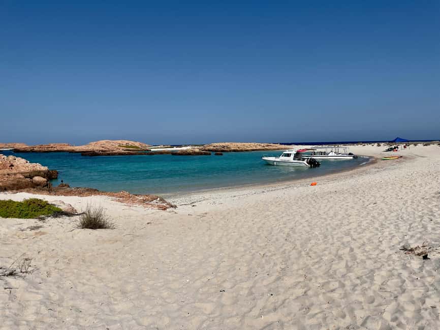 Immagine nº 9 di Muscat: Tour di snorkeling delle isole Daymaniat con rinfresco attività a Oman, caricata dal fornitore