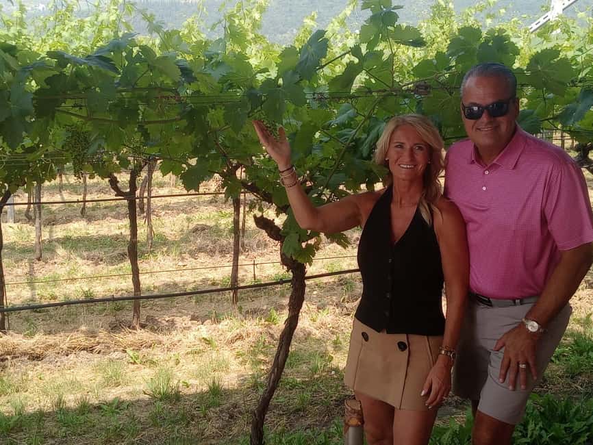 Immagine nº 66 di Il tour completo dell'Amarone: 2 cantine, pranzo e approfondimento sull'Amarone attività a Verona, caricata dal fornitore