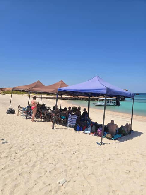 Immagine nº 43 di Isola di Daymaniyat: tour di snorkeling con pranzo gustoso attività a Seeb, caricata dal fornitore