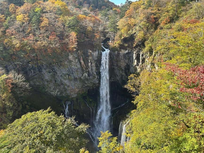 Immagine nº 27 di Tokyo: Tour privato imperdibile di Nikko, patrimonio dell'umanità dell'Unesco attività a Nikkō, caricata dal fornitore