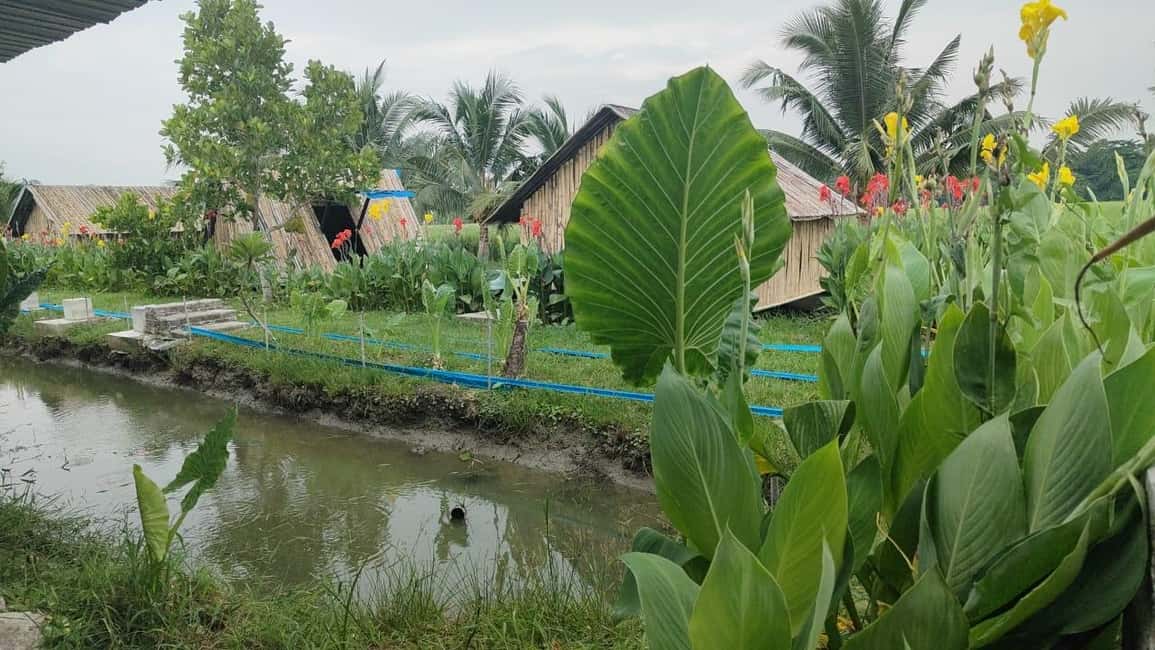 image n.5 of George Town: Balik Pulau Countryside Morning Cycling Tour activity in George Town, Malaysia, uploaded by supplier