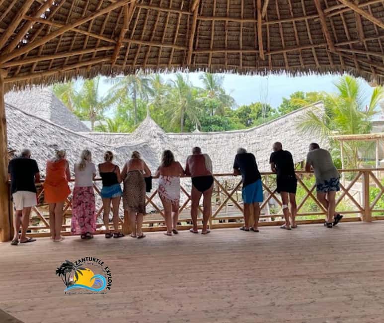 image n.10 of Nungwi: Swimming with Turtles at The Lagoons Zanzibar activity in Zanzibar City, uploaded by supplier
