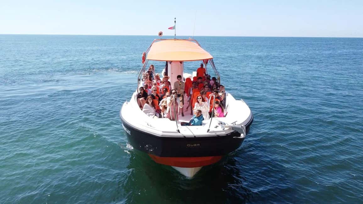 image n.10 of Dolphin Safari and Cave Tour in Vilamoura activity in Vilamoura, uploaded by supplier