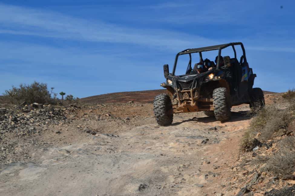 image n.19 of Lanzarote: Mix tour Guided Buggy Volcano Tour 4 seater activity in El Toyo, uploaded by supplier