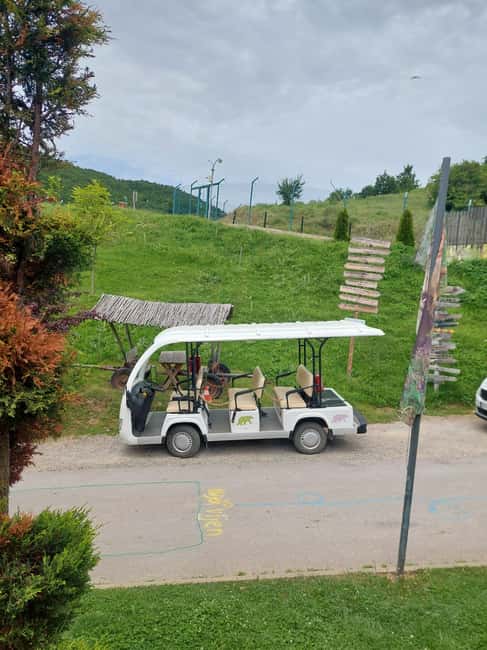 image n.5 of Skopje: Prishtina, Gracanica Monastery & Bear Sanctuary Trip activity in Pristina, uploaded by supplier