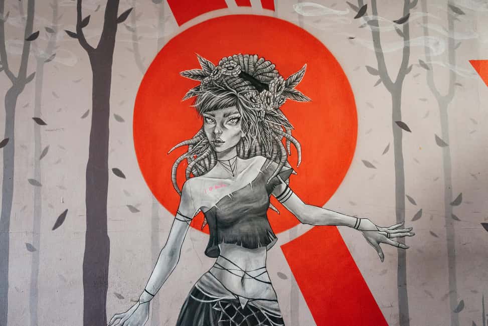 Bild Nr. 4 von Dresden: Neustadt District Street Art Guided Walking Tour Aktivität in Dresden, hochgeladen vom Anbieter