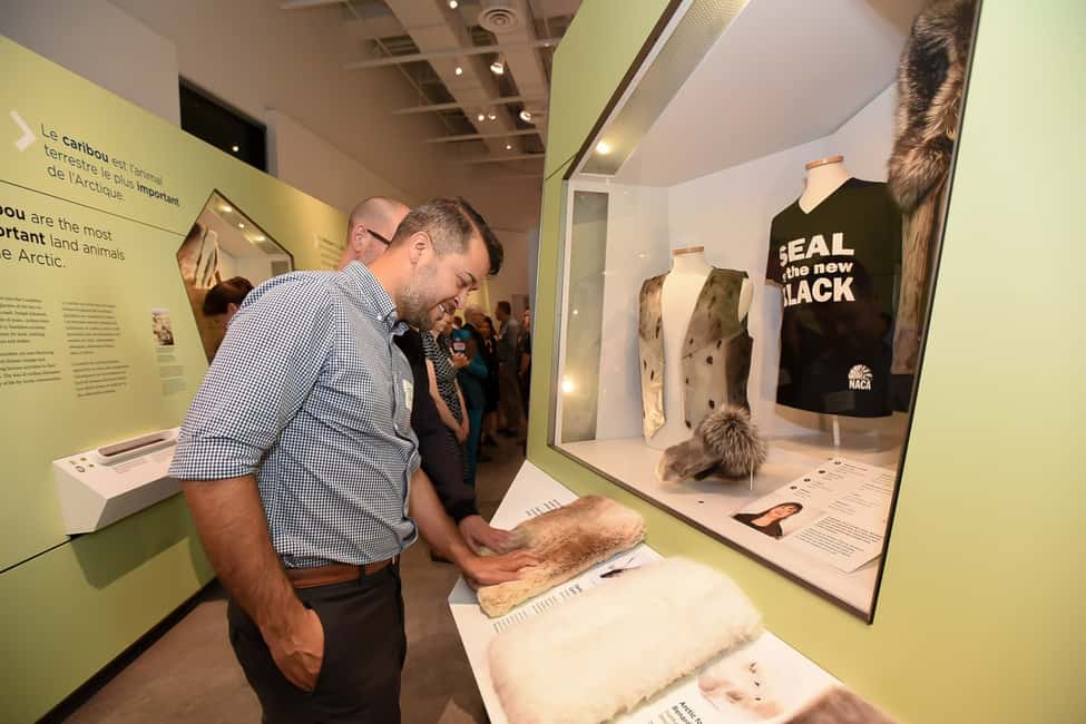 imagem n.12 de Otava: Ingresso no Museu Canadiano da Natureza atividade em Ottawa, carregada pelo fornecedor