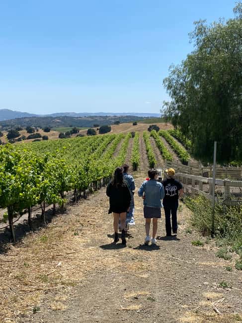image n.2 of Santa Barbara: Wine Country Tour with Lunch activity in Santa Barbara, uploaded by supplier
