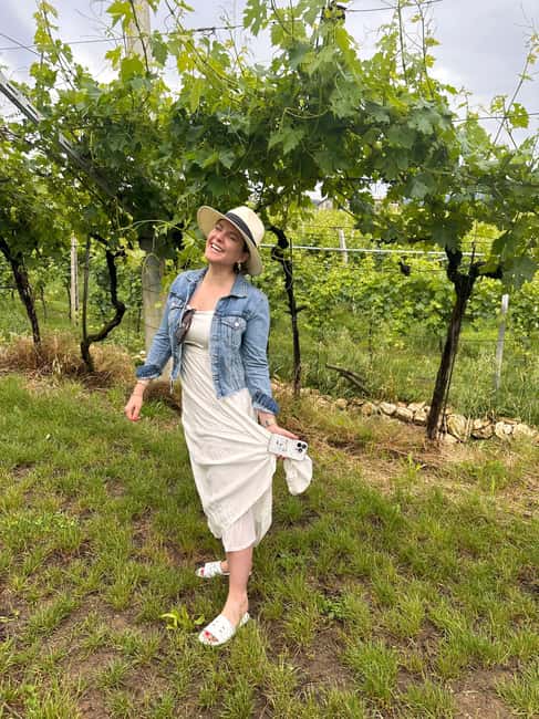 Immagine nº 28 di Il tour completo dell'Amarone: 2 cantine, pranzo e approfondimento sull'Amarone attività a Verona, caricata dal fornitore