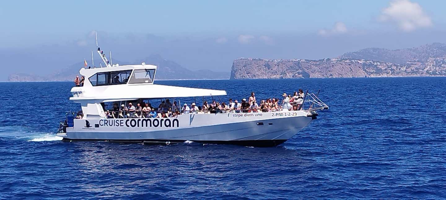 Bild Nr. 7 von Von Palma: 3-stündige Bootstour zur Delfinbeobachtung am Morgen Aktivität in Palma de Mallorca, hochgeladen vom Anbieter