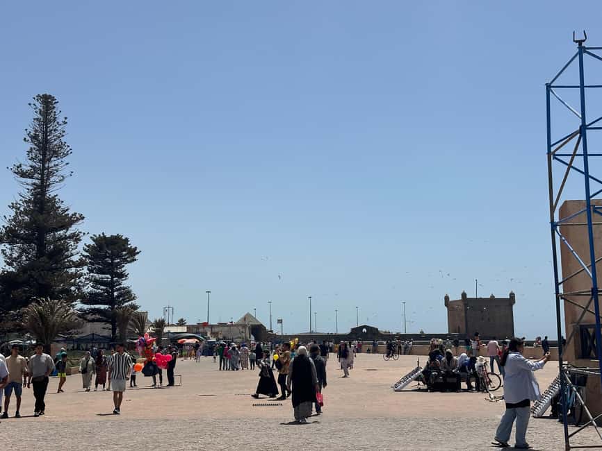 image n.30 of From Marrakech: Essaouira day Trip with camel, horse & quad activity in Essaouira, uploaded by supplier