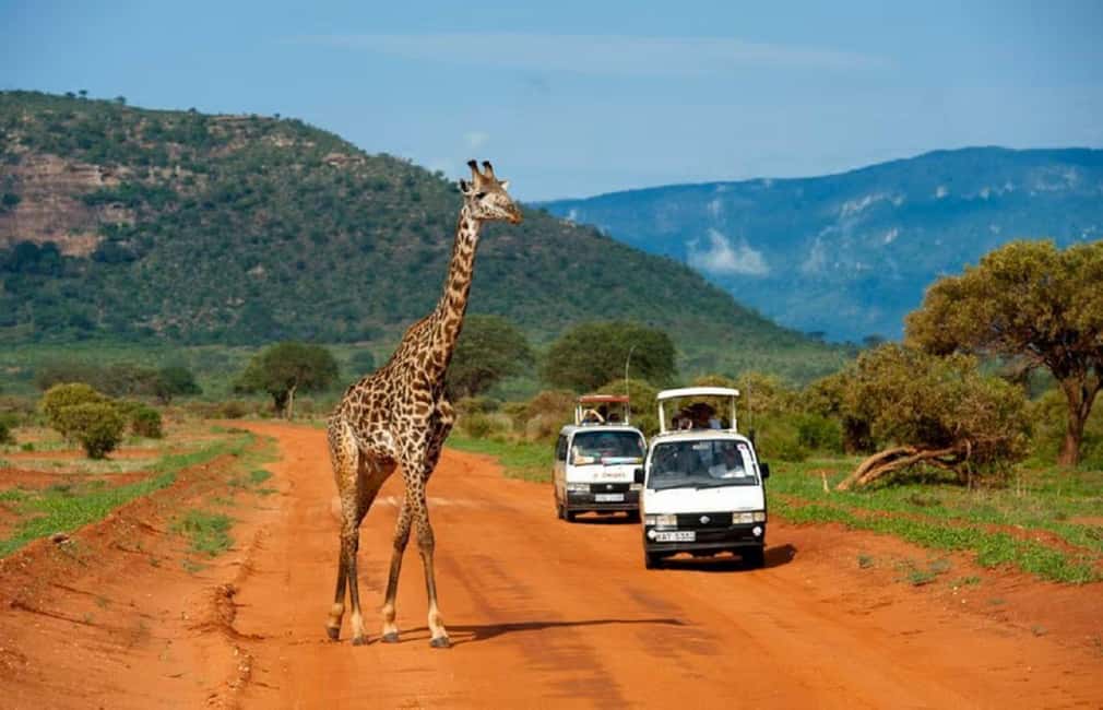 image n.34 of 2-Days Wildlife Safari to Tsavo East & Tsavo West Park activity in Coast Province, uploaded by supplier