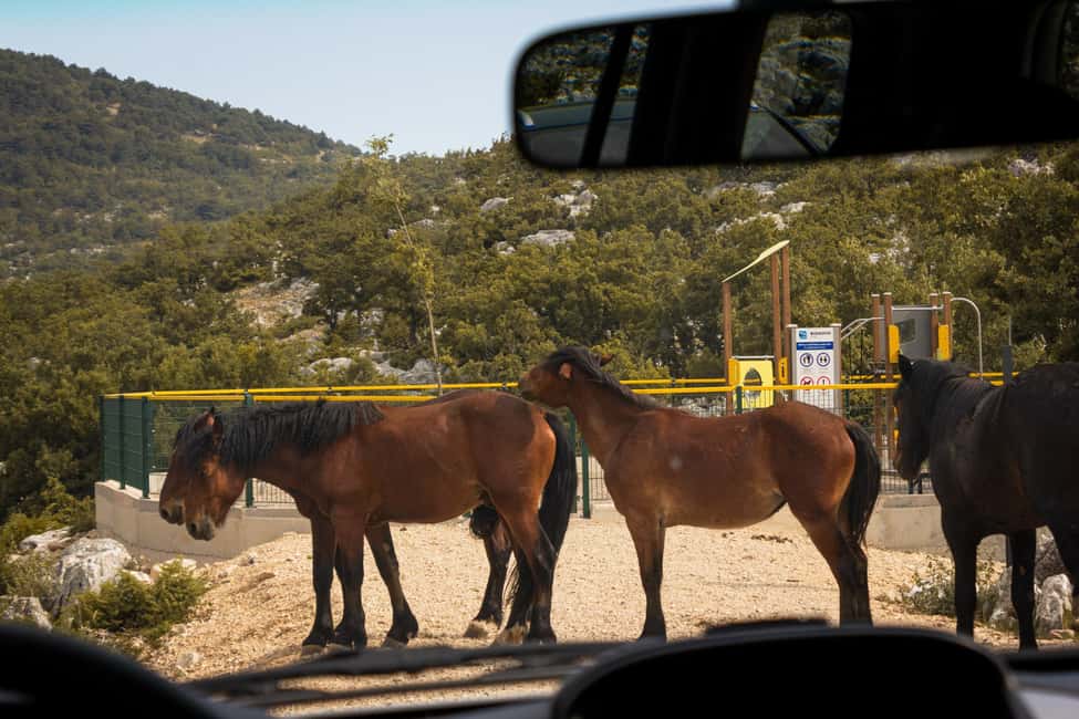 image n.5 of Makarska: Biokovo Skywalk 4X4 Tour: Ultimate Mountain Views activity in Dalmatia, uploaded by supplier