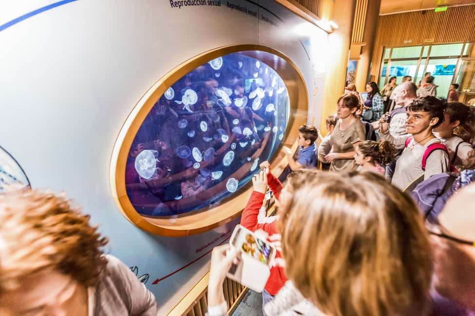 image n.4 of Valencia: Oceanogràfic Entry Ticket activity in Valencia, uploaded by supplier