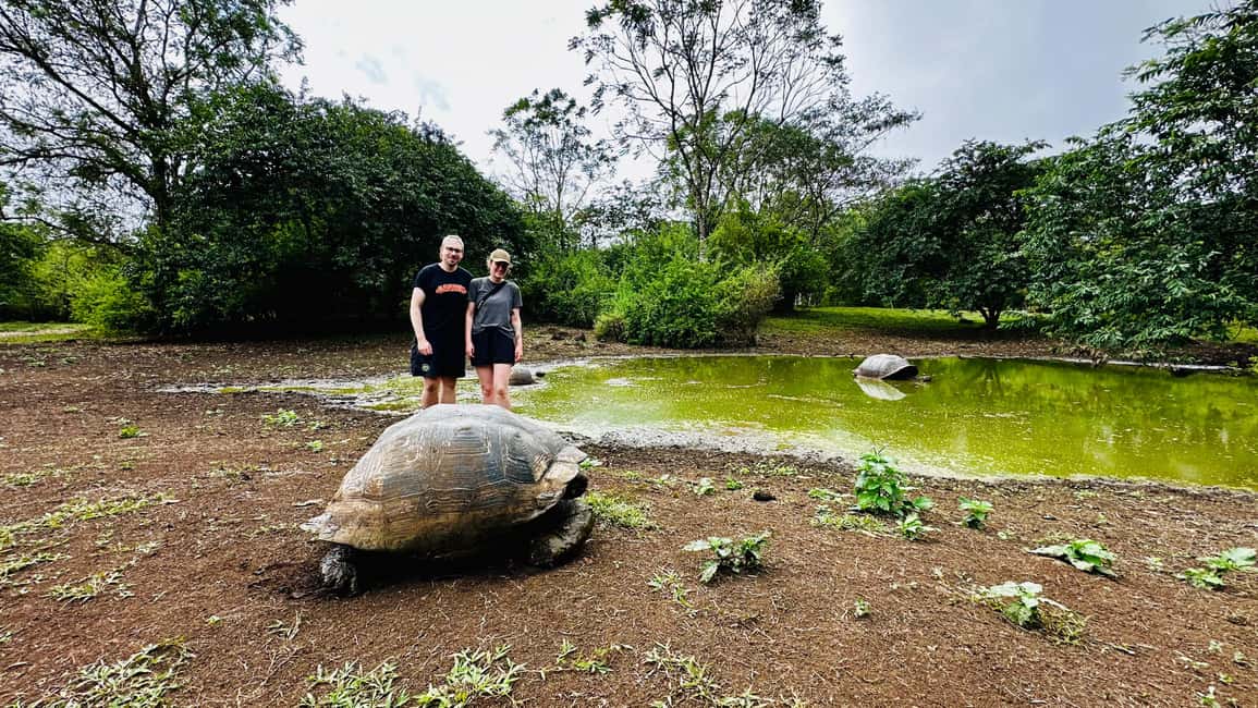 image n.5 of Puerto Ayora: The Galapagos Giant Tortoise Shared Experience activity in Galápagos Islands, uploaded by supplier