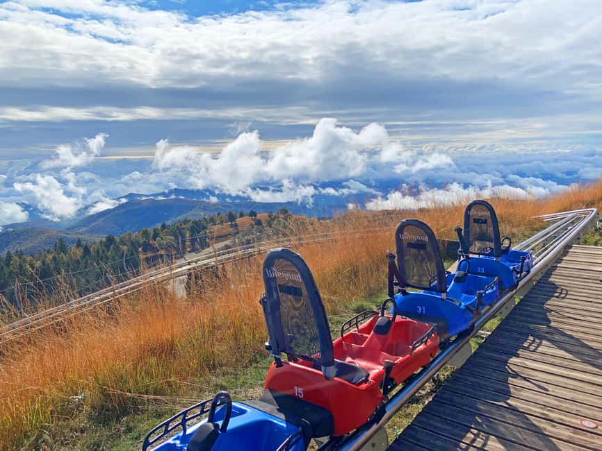 billede nr.9 af aktiviteten Stresa: Alpyland Alpine Coaster Ride på Mount Mottarone i Mottarone, uploadet af udbyder
