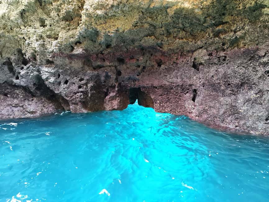 Immagine nº 50 di Lagos: tour della costa di Ponta da Piedade attività a Lagos, Portogallo, caricata dal fornitore