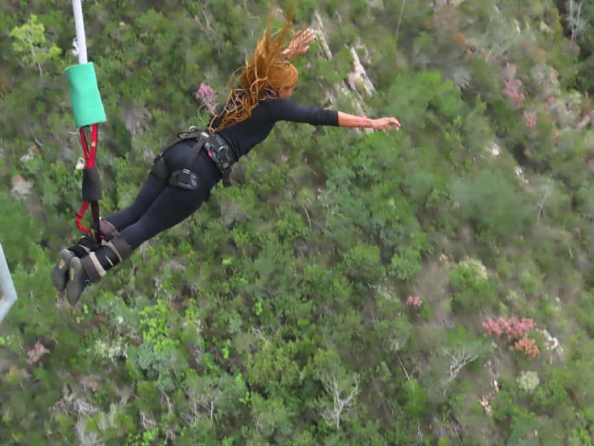 image n.1 of 2-Day Garden Route Bungee Jump, Zipline & Shark Diving Tour activity in Eastern Cape, uploaded by supplier