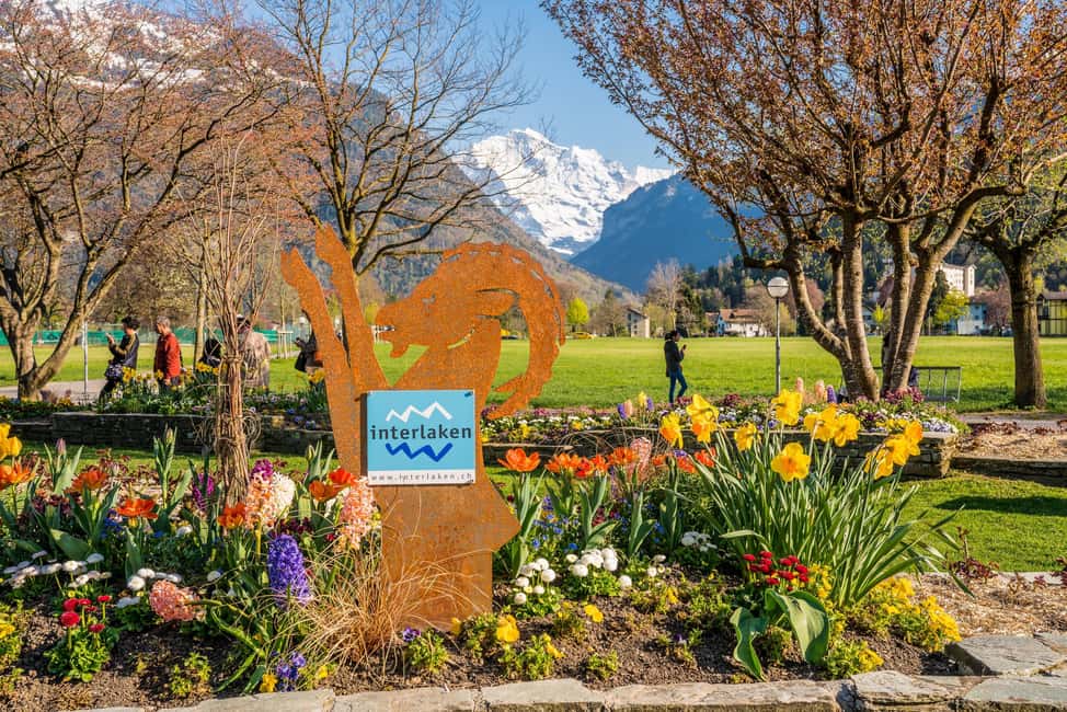 imagen n.º 6 de Explora los Pueblos Suizos: Interlaken-Grindelwald(Excursión Privada) actividad en Stechelberg, subida por el proveedor