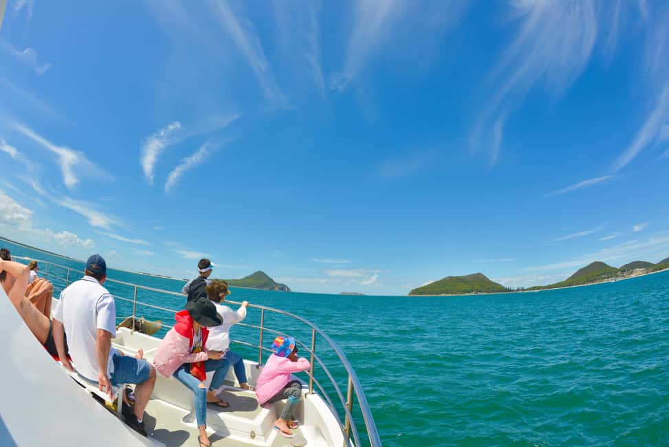 image n.8 of Port Stephens: Dolphin Watching Cruise activity in Nelson Bay, uploaded by supplier