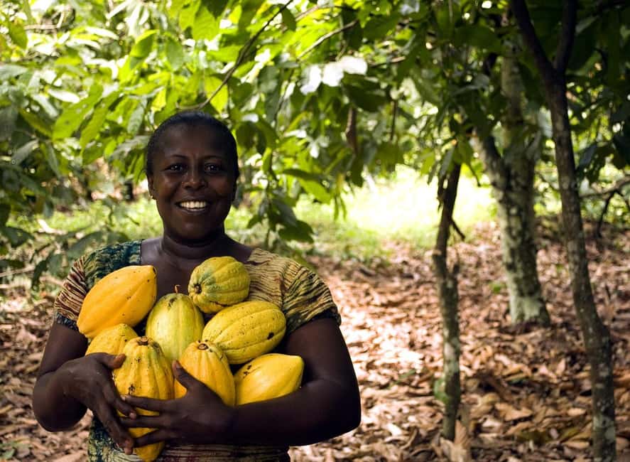 image n.2 of Boti Falls, Umbrella Rock, Aburi Gardens & Cocoa Farm Tour activity in Aburi, uploaded by supplier