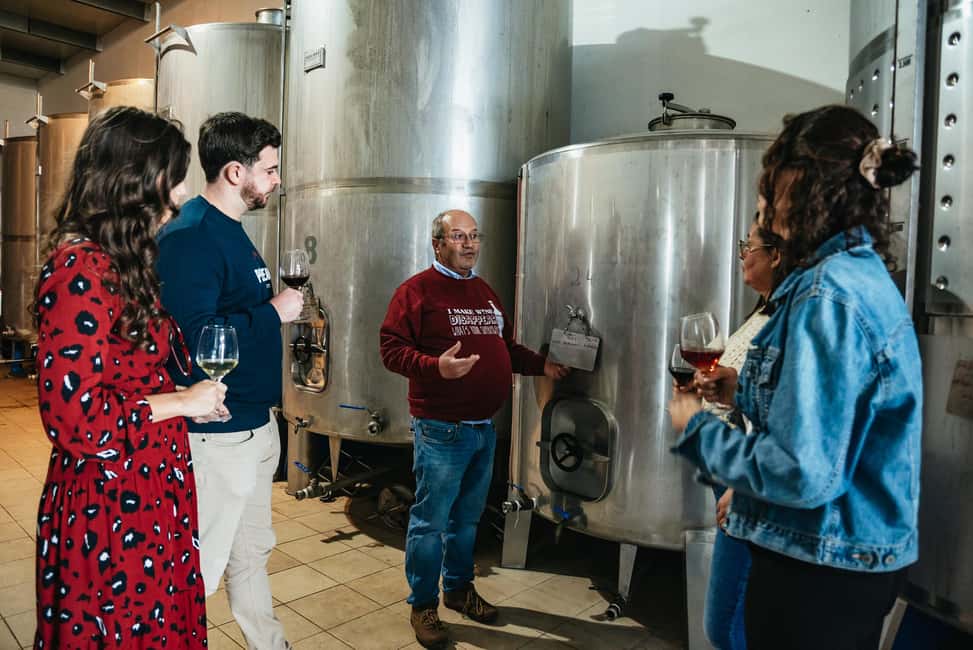 imagem n.14 de Loulé: Visita guiada e degustação de vinhos na Quinta da Tôr atividade em Loulé, carregada pelo fornecedor