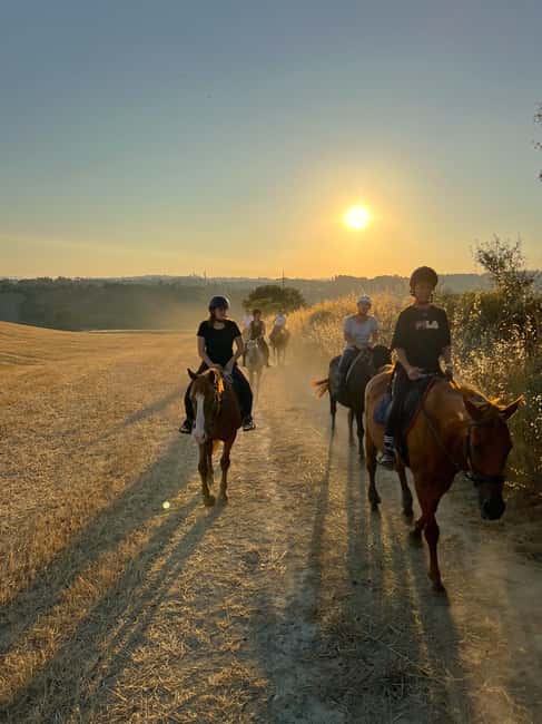 imagen n.º 9 de Siena: Paseos a caballo con Siena al fondo actividad en Siena, subida por el proveedor