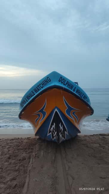 image n.11 of Trincomalee: Dolphin & Whale Watching Boat Tour activity in Nilaveli, uploaded by supplier