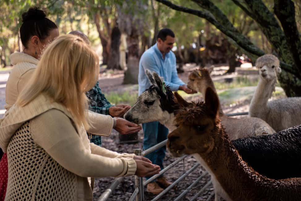 image n.11 of Margaret River Full-Day Wine, Local Produce & Nature Tour activity in Margaret River, uploaded by supplier