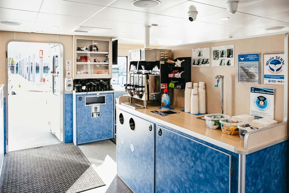 image n.15 of Seward: Kenai Fjords National Park Catamaran Cruise w/Lunch activity in Seward, uploaded by supplier
