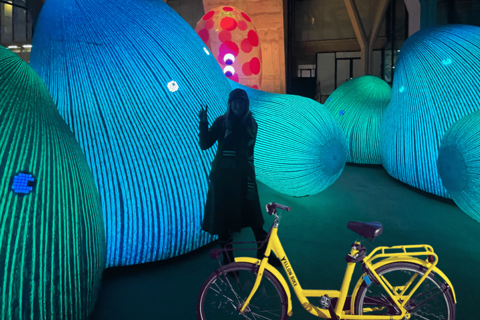 afbeelding n.5 van Amsterdam Light Festival begeleide fietstour activiteit in Amsterdam, geüpload door aanbieder