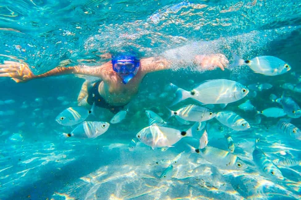 bild nr.5 av Mauritius: 5 öar på östkusten med snorkling och lunch aktivitet i Mauritius, uppladdad av arrangören