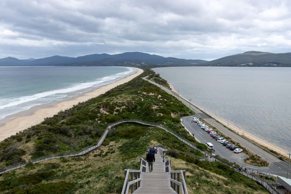 image n.21 of From Hobart: Bruny Island Adventure - Active Day Tour activity in Tasmania, uploaded by supplier
