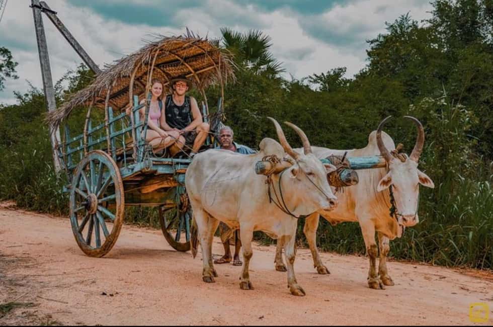 image n.5 of Trincomalee to Sigiriya:Rural Village Tour & Elephant Safari activity in Trincomalee, uploaded by supplier