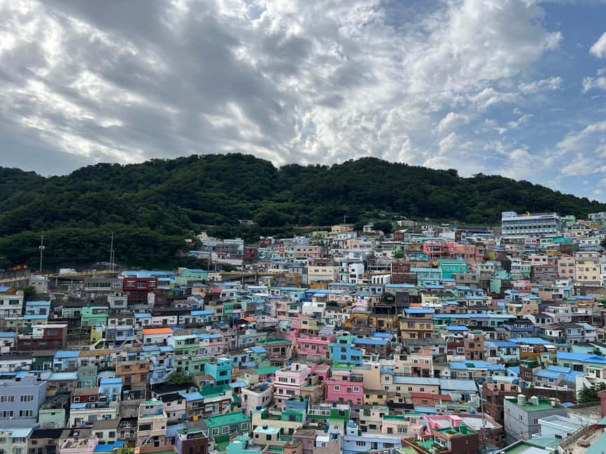 image n.5 of Busan / Gyeongju Customizable Private Tour (up to 8pax) activity in Busan, uploaded by supplier