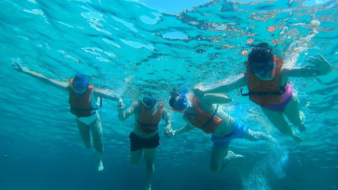 image n.22 of Ibiza: Sea Caves & Coves Snorkeling Paddle Boarding Tour activity in Sant Josep de sa Talaia, uploaded by supplier