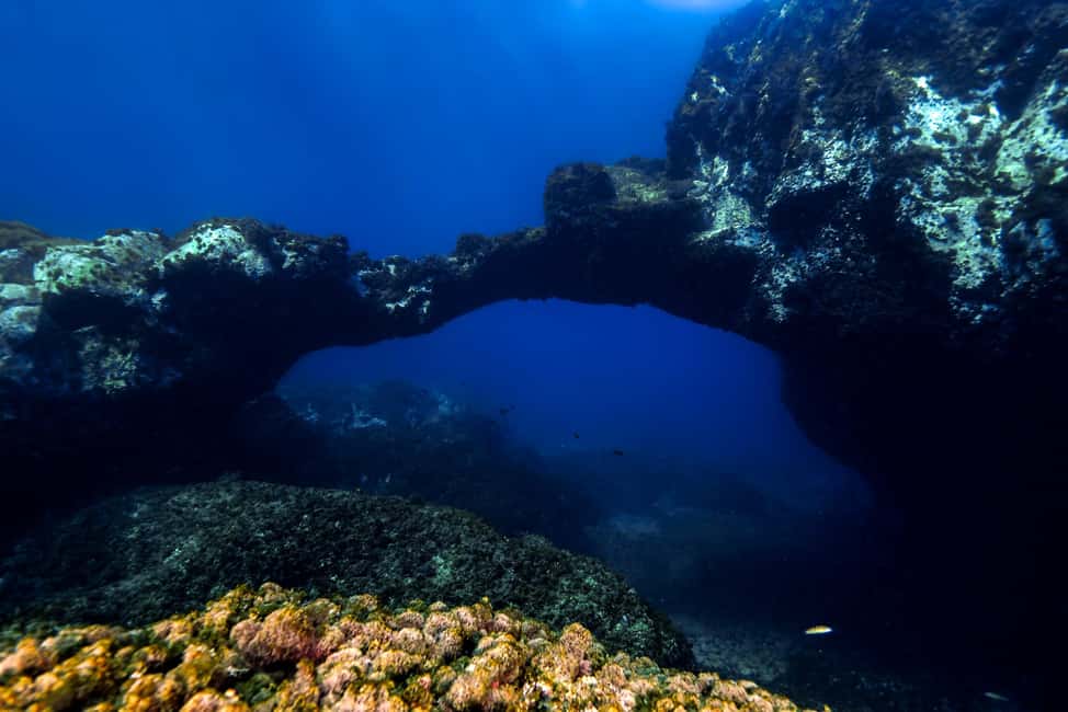 imagen n.º 2 de Catania: Experiencia de submarinismo actividad en Catania, subida por el proveedor