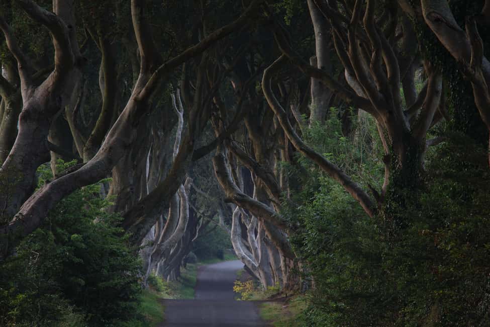 image n.15 of Giants causeway Irish castles & whiskey, Game of thrones activity in Bushmills, uploaded by supplier