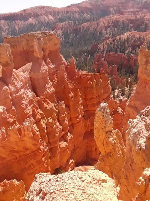 image n.2 of Small Group Tour Zion & Bryce Canyon National from Las Vegas activity in Utah, uploaded by supplier