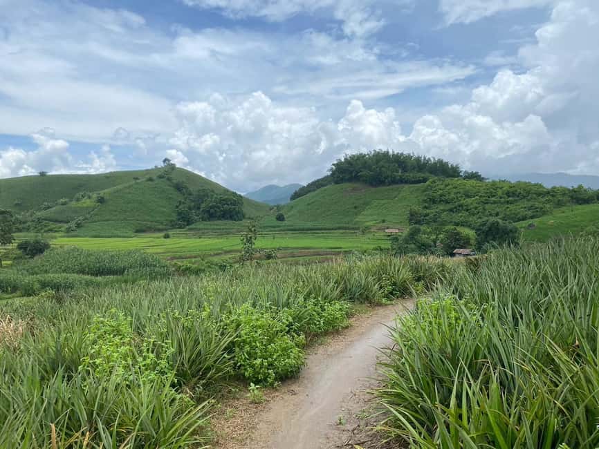image n.30 of Chiang Rai Trek: 4 Hilltribes Villages & Waterfall Only Walk activity in Chiang Rai, uploaded by supplier