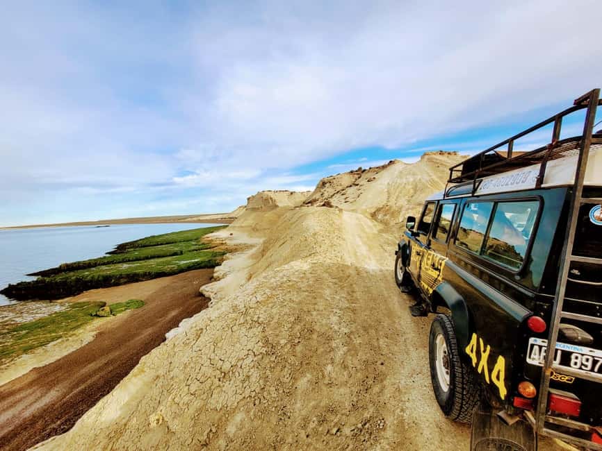 Bild Nr. 18 von PUERTO MADRYN: 4 X 4 ABENTEUER AN DEN SCHÖNSTEN STRÄNDEN ERLEBEN! Aktivität in Puerto Madryn, hochgeladen vom Anbieter