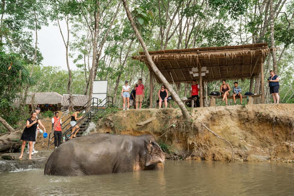 image n.28 of Phuket: Elephant Sanctuary Small Group Tour in Khao Lak activity in Takua Pa, uploaded by supplier