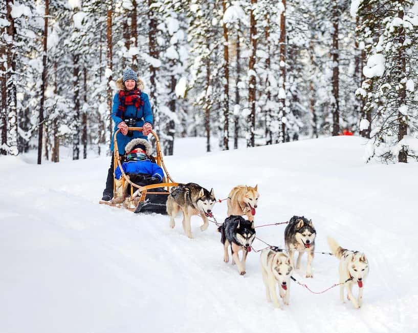 bild nr.5 av Rovaniemi: Privat tur i jultomtens by aktivitet i Rovaniemi, uppladdad av arrangören