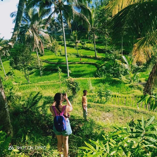 image n.5 of Lombok:Sendang Gile,Tiu Kelep Waterfall & Selong Hill Tour activity in Senaru, uploaded by supplier
