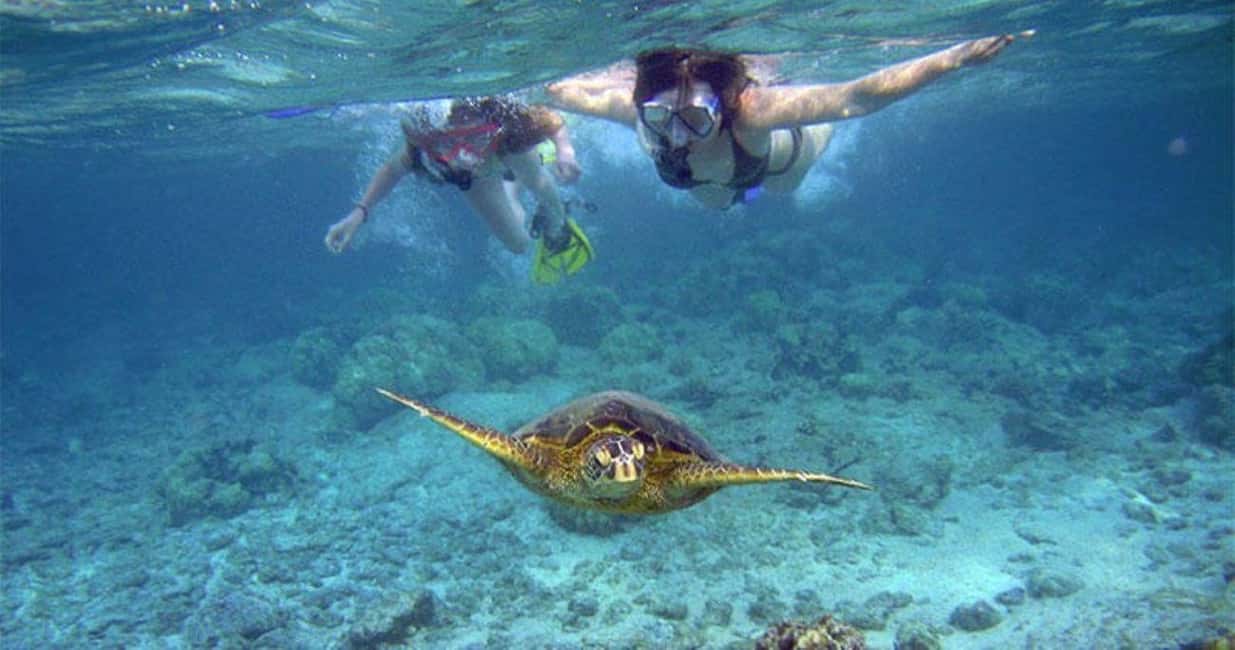 image n.3 of Wailea-Makina: Sea Caves, Molokini Snorkel & Turtle Town activity in Lahaina, uploaded by supplier