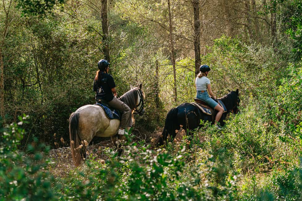 image n.12 of Mallorca: Horseback Riding Experience with Food Options activity in Balearic Islands, uploaded by supplier