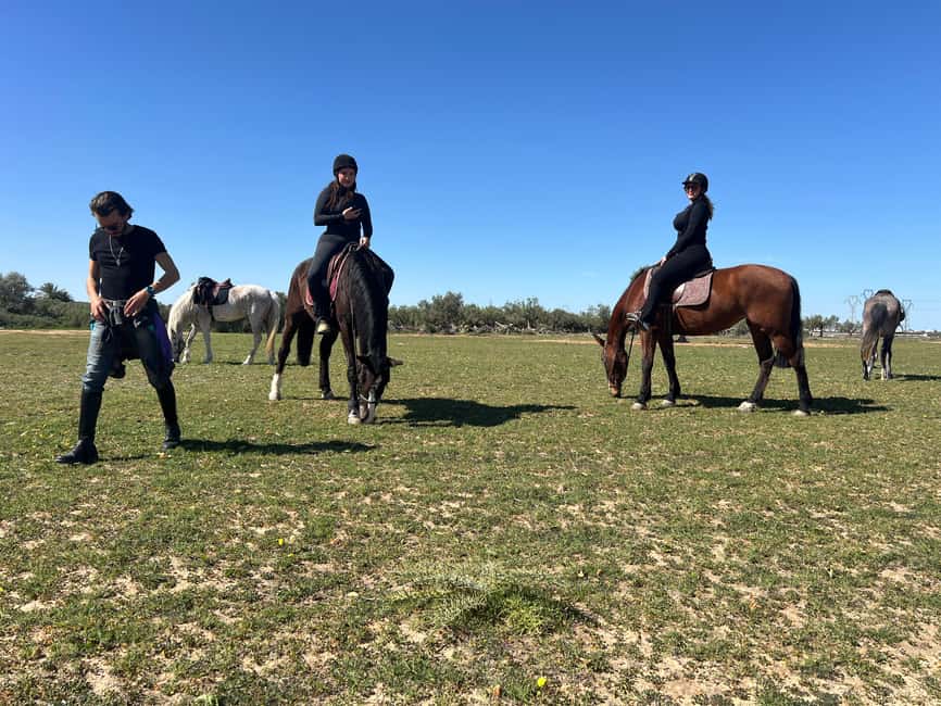 Image N°14 de Sousse/Monastir : excursion privée à cheval avec transfert activité à Monastir, publiée par le prestataire